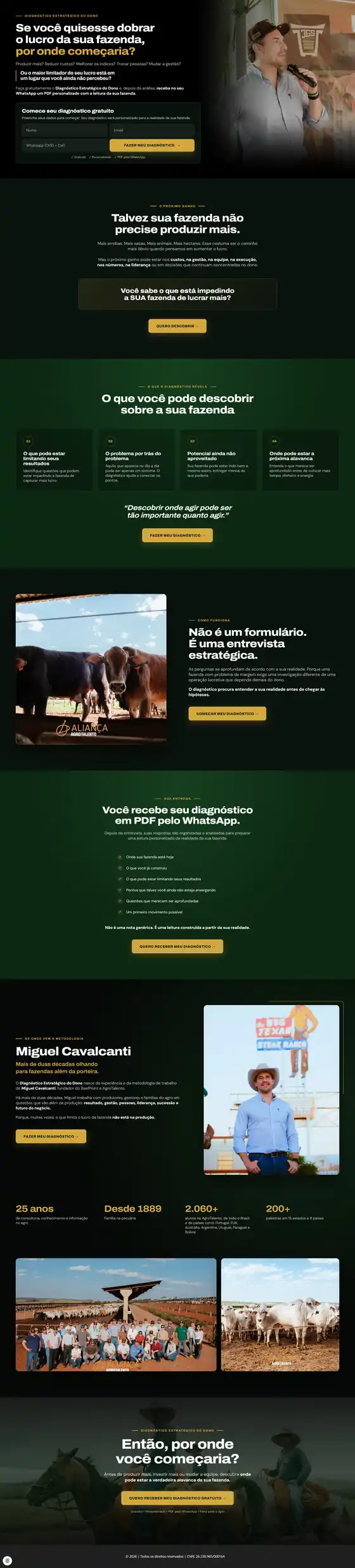 Página de captura do Diagnóstico Estratégico do Dono